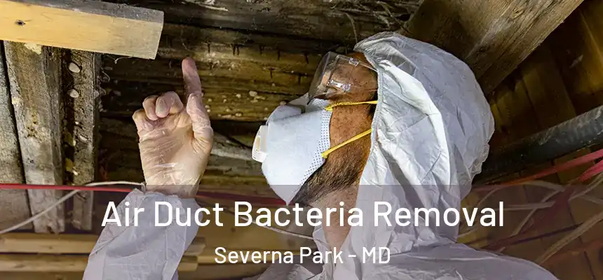  Air Duct Bacteria Removal Severna Park - MD