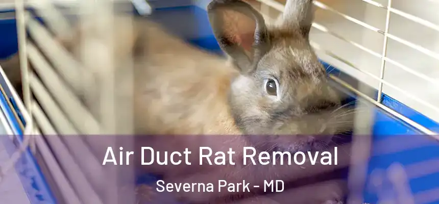  Air Duct Rat Removal Severna Park - MD