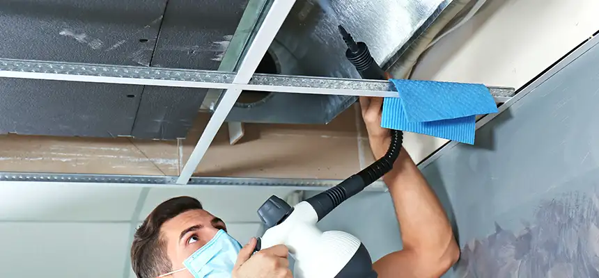 Our Air Duct Rodent Removal Services in Severna Park, MD