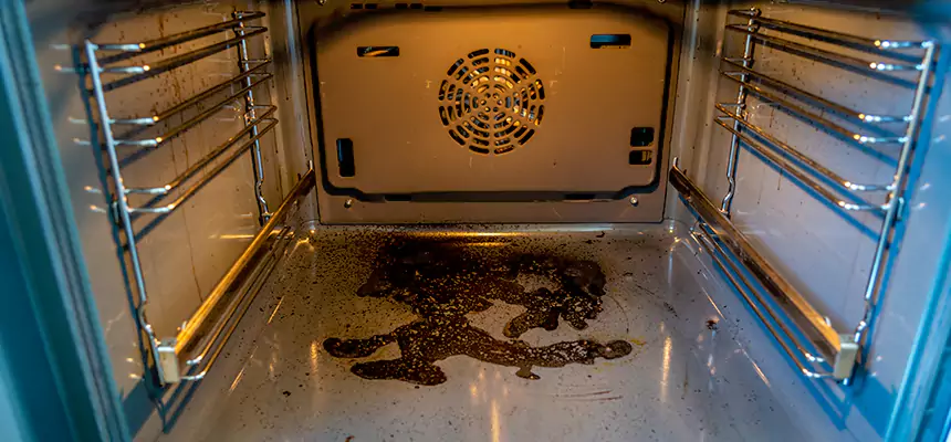 Our Dryer Vent Mold Cleaning Services in Severna Park, MD