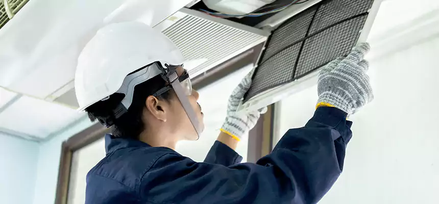 Our Mold & Mildew Removal from Air Ducts Services in Severna Park, MD