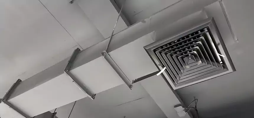 Our Rodent Droppings In Vents Services in Severna Park, MD