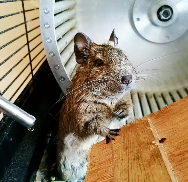 Why Homeowners & Businesses Trust Us Severna Park, MD