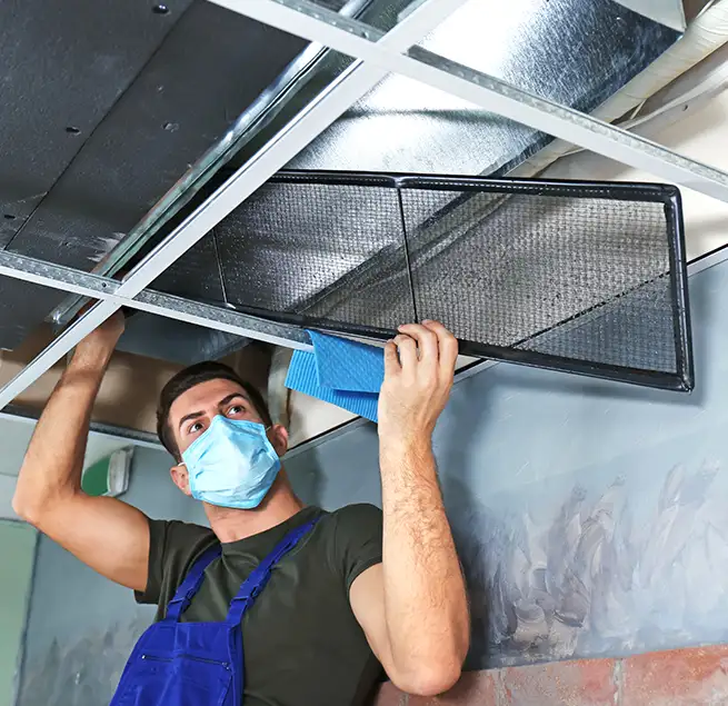 Why Homeowners & Businesses Trust Us in Severna Park, MD?