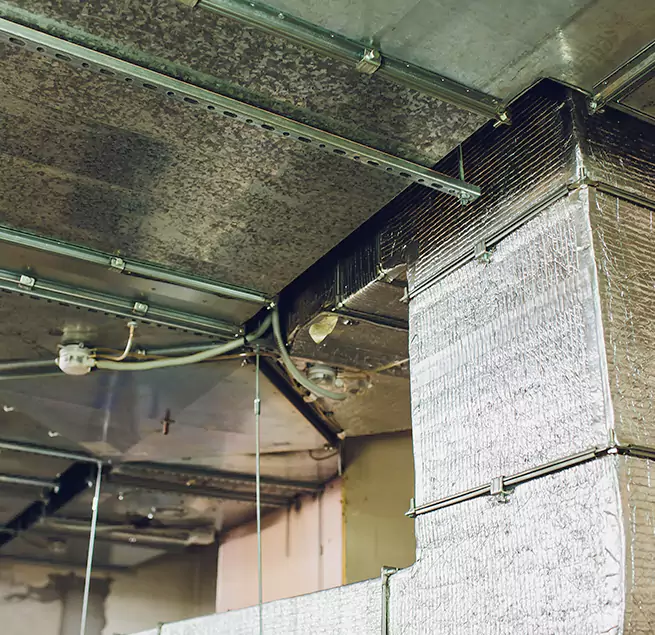 Why Homeowners & Businesses Trust Us in Severna Park, MD?